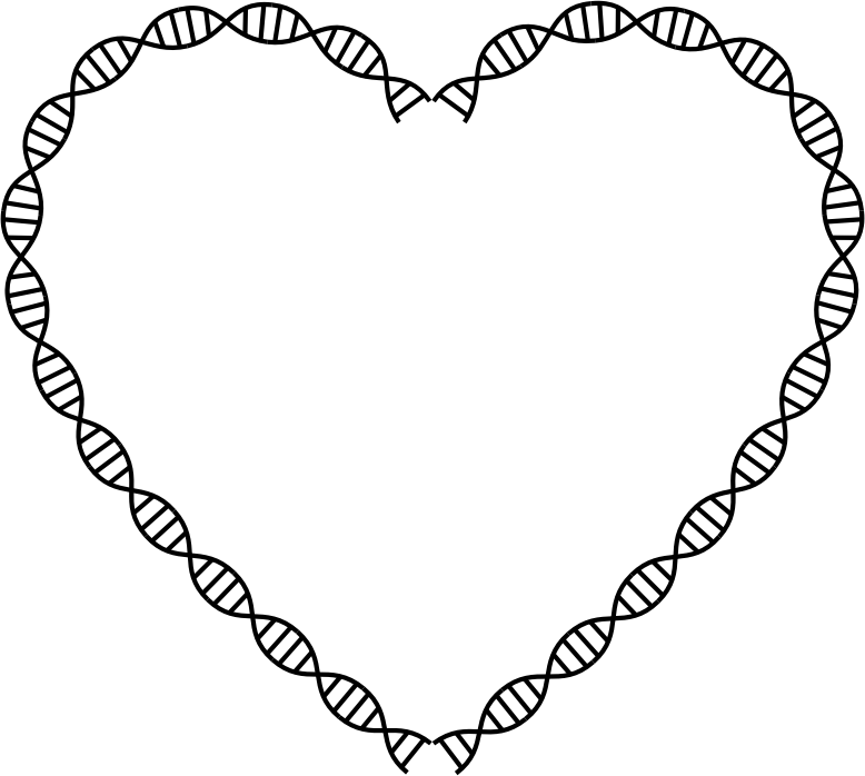 DNA Helix Heart