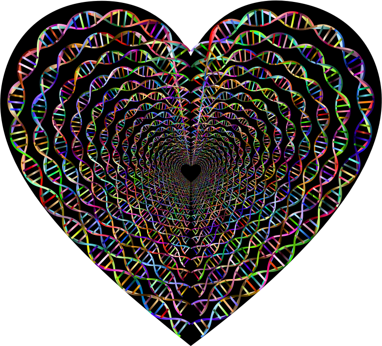 Chromatic DNA Helix Heart Tunnel