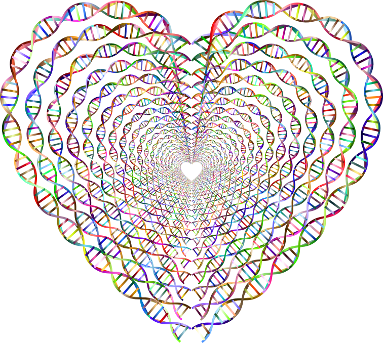 Chromatic DNA Helix Heart Tunnel No Background