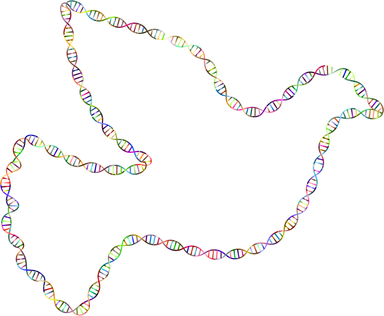 Chromatic DNA Helix Peace Dove