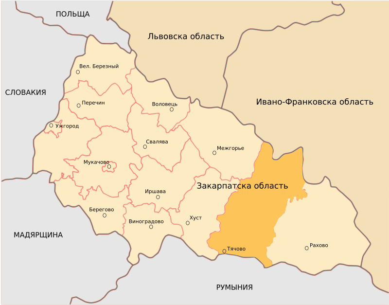 Tiachiv District
