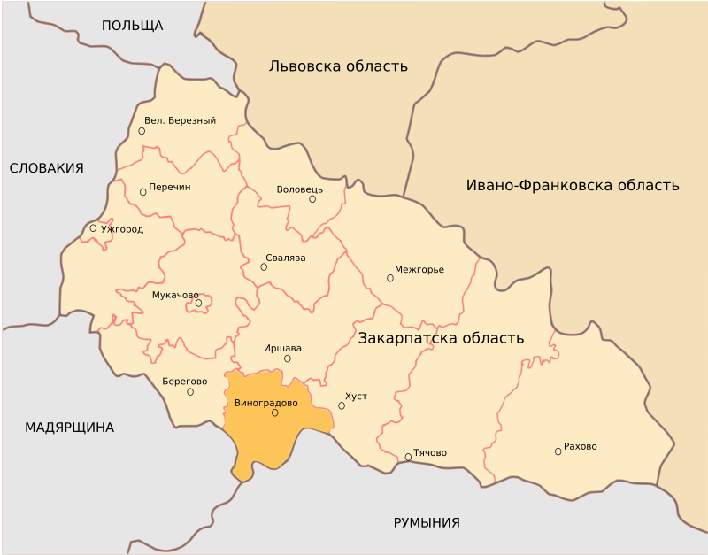 Vinohradiv District