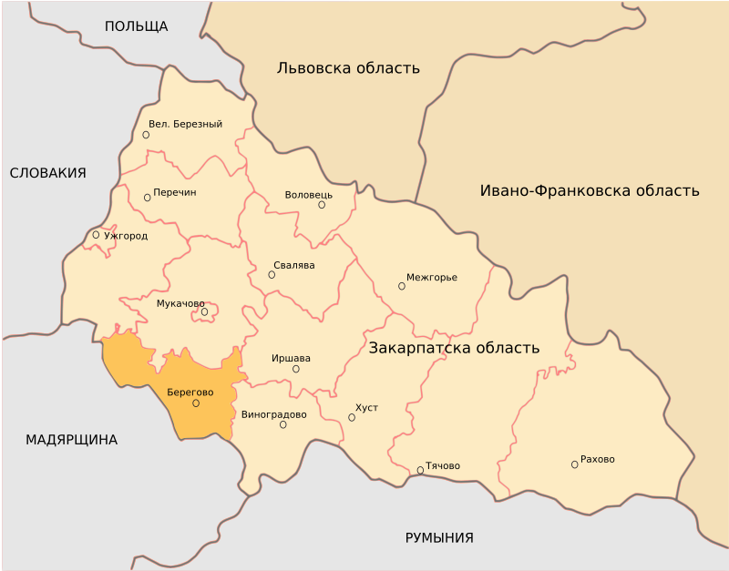 Berehove District