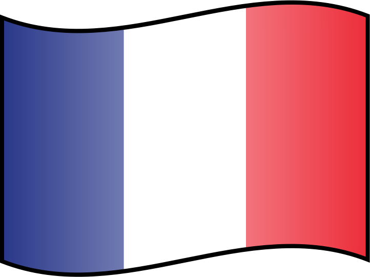 Icon Flag of France