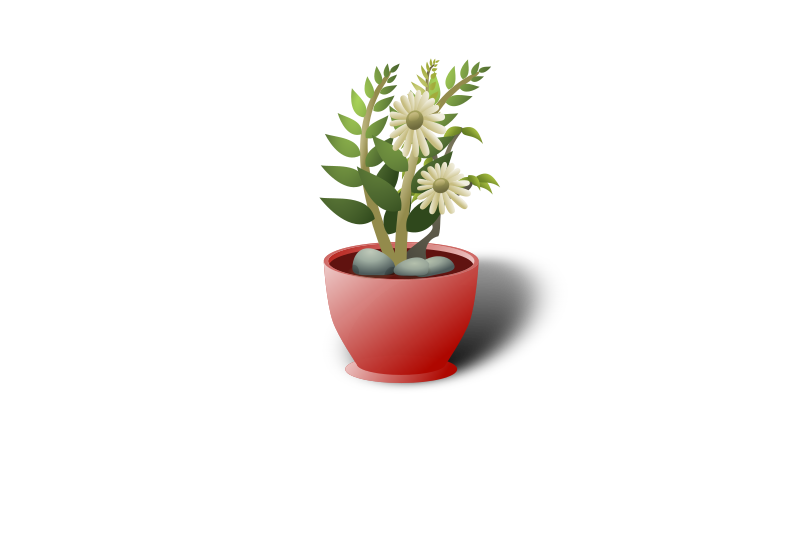 white flower pot