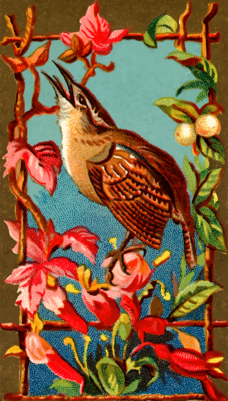 Cigarette card - Wren