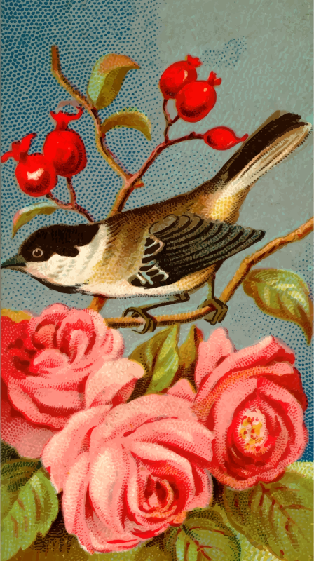 Cigarette card - Chickadee