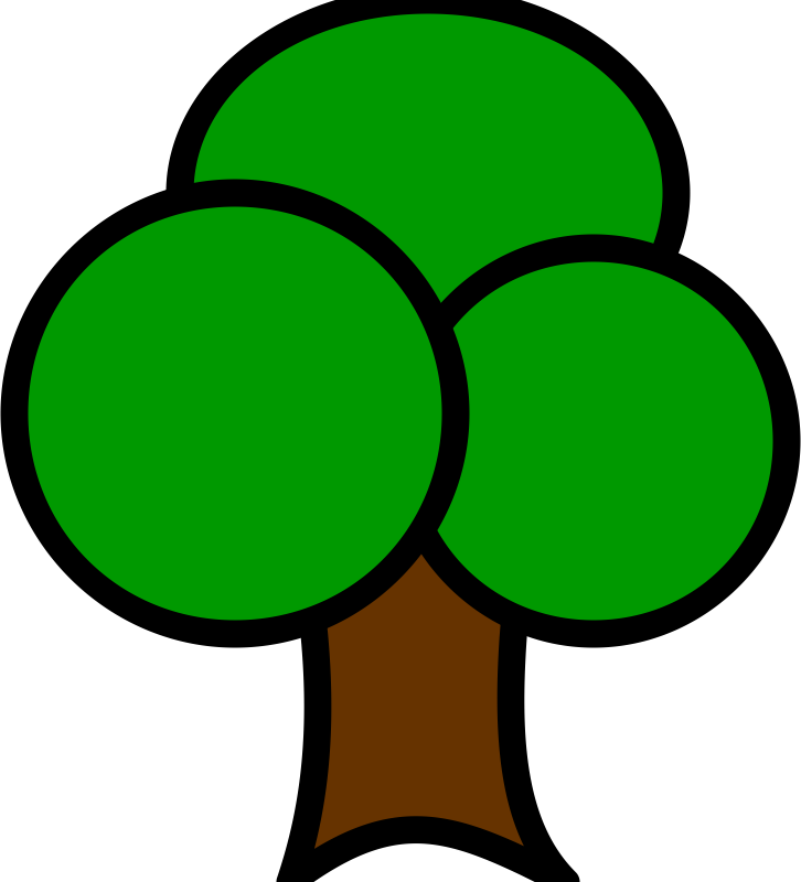 broadleaf tree