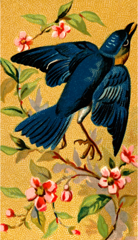 Cigarette card - Bluebird