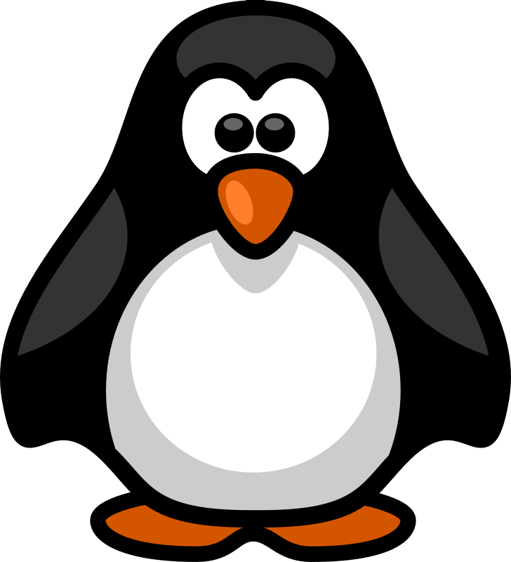 Little penguin