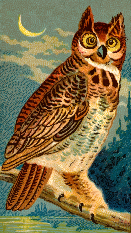 Cigarette card - Horned Owl
