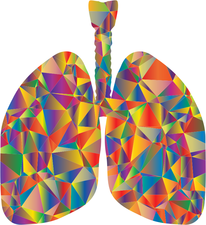 Prismatic Low Poly Lungs Silhouette