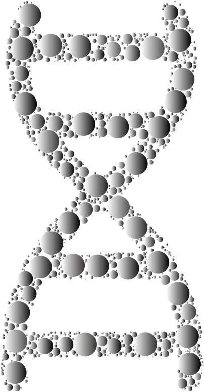 Prismatic DNA Helix Circles 3