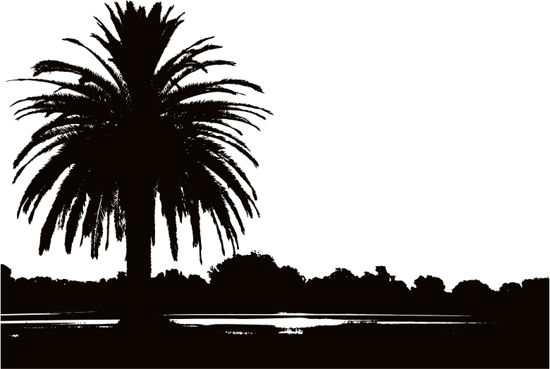 Palm Sunset Silhouette