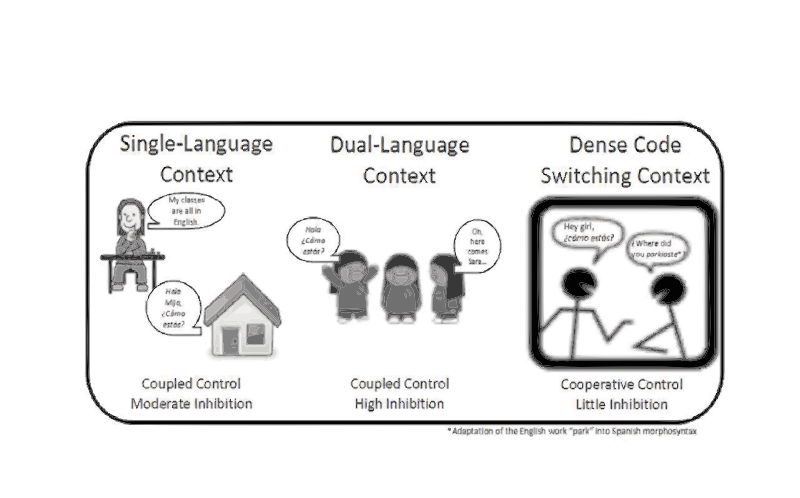 Adaptive Control Hypothesis