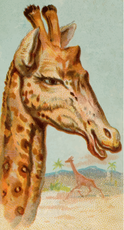 Cigarette card - Giraffe