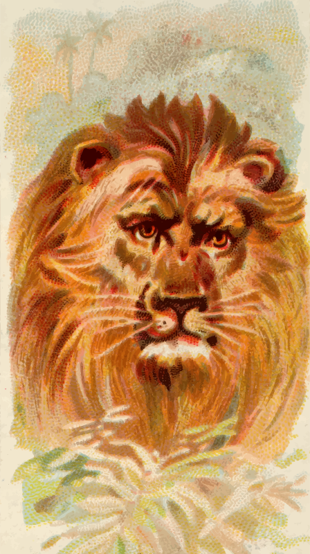 Cigarette card - Lion