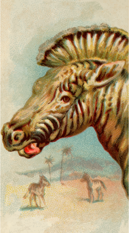 Cigarette card - Zebra