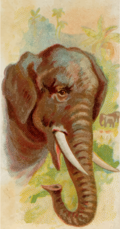 Cigarette card - Elephant