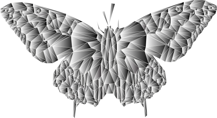 Low Poly Butterfly Prismatic 8