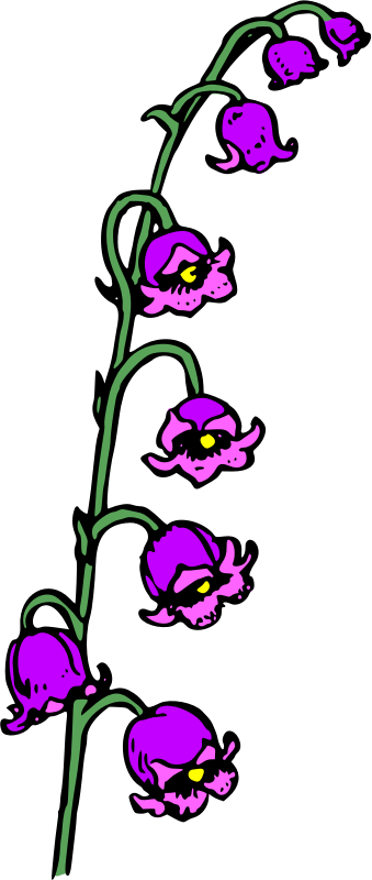 Flower 100 (colour)