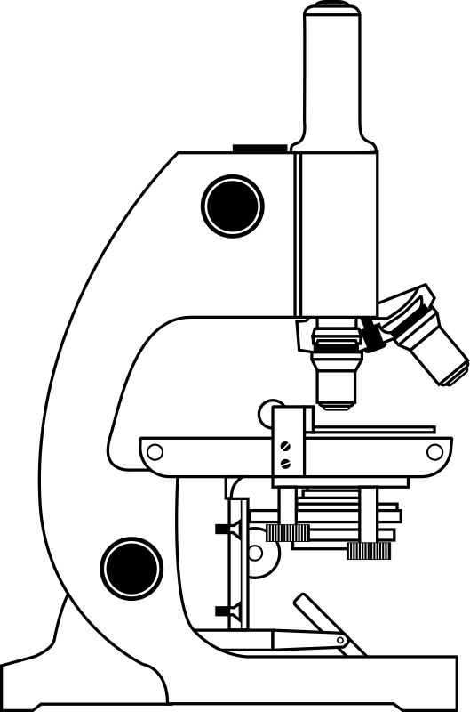 Microscope