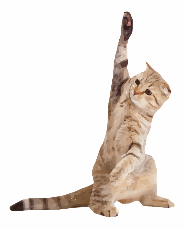 Cat with paw up