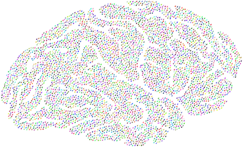 Prismatic Synaptic Brain