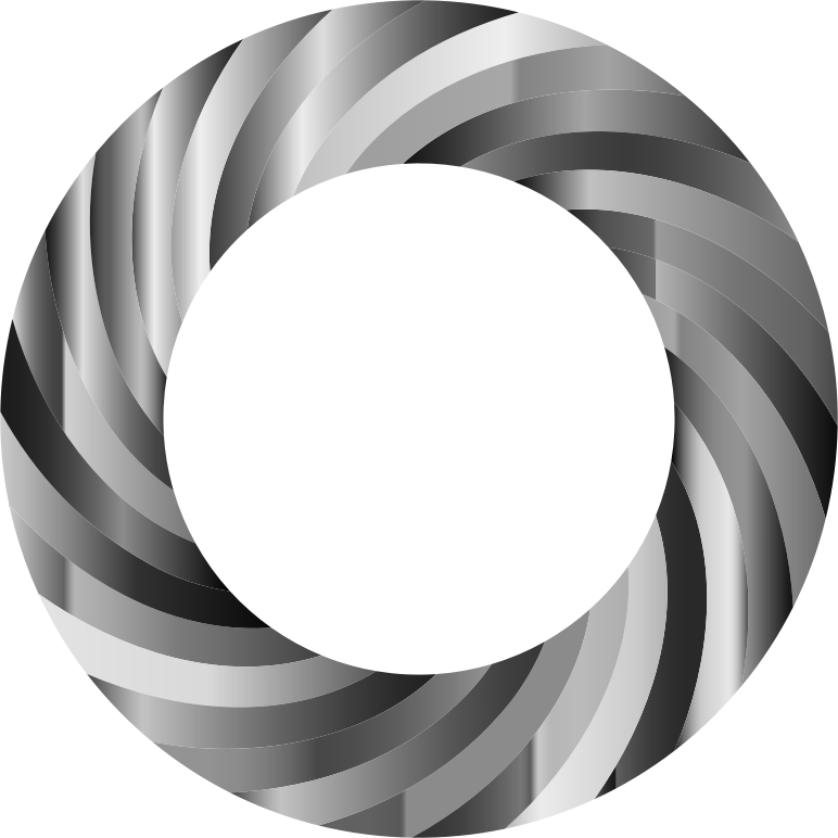 Swirly Torus