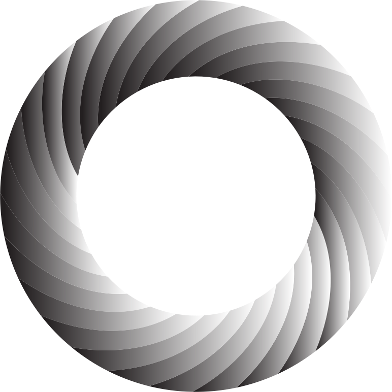 Swirly Torus 2