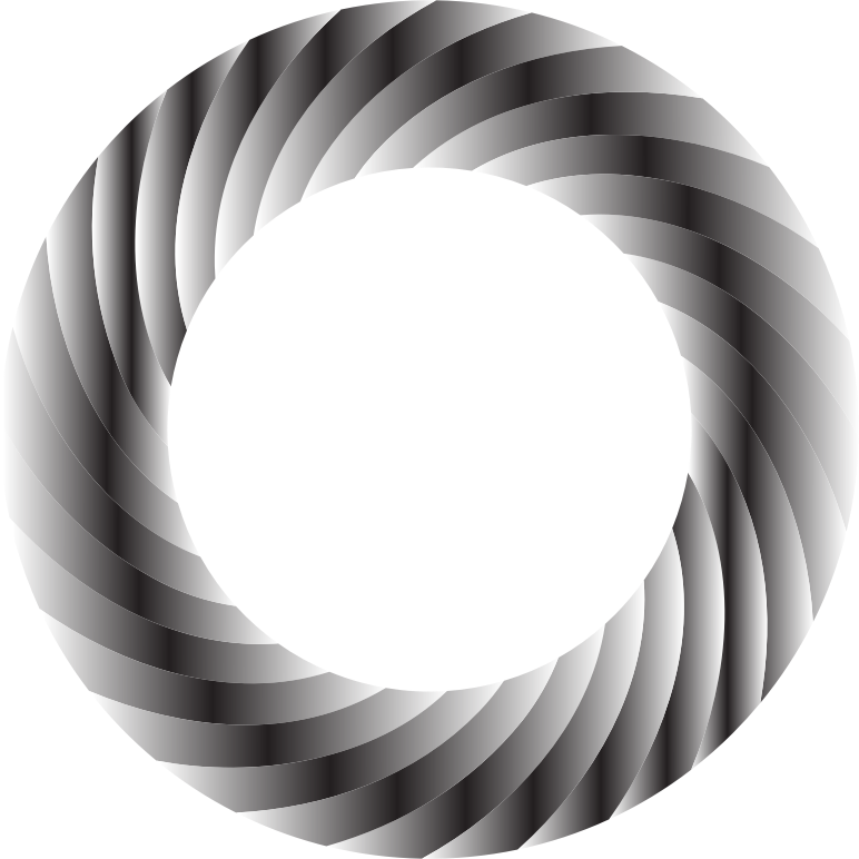 Swirly Torus 3