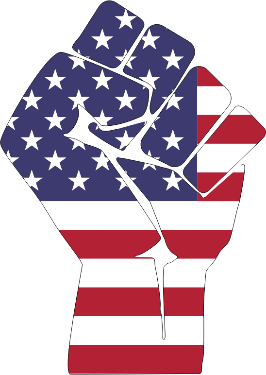 American Flag Fist With Stroke