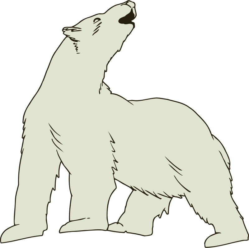 Polar bear 3