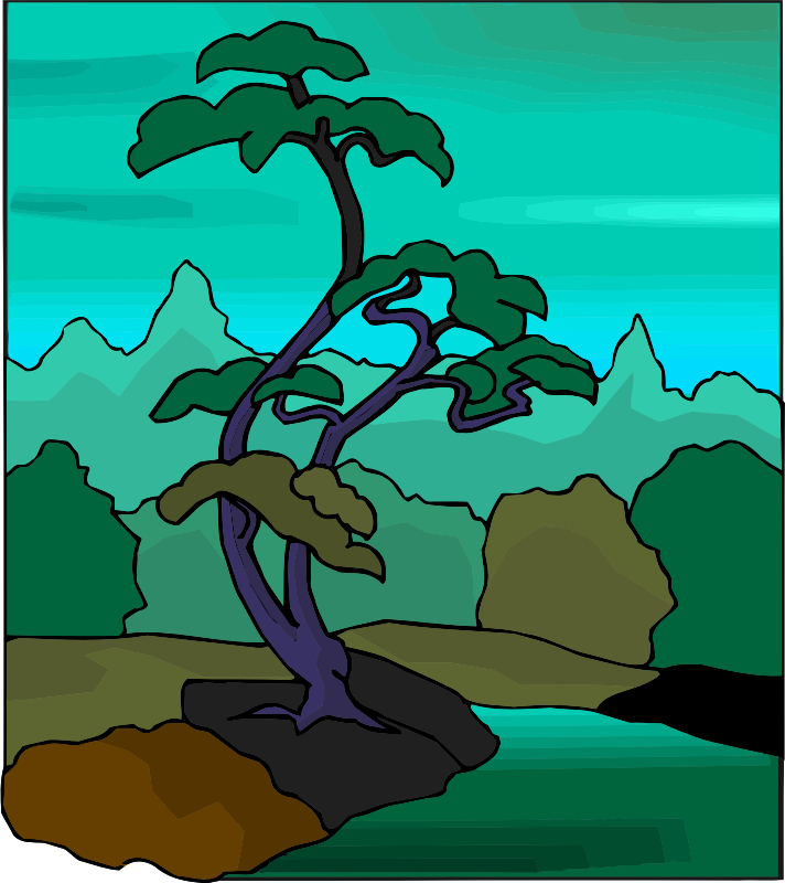 Tree 47