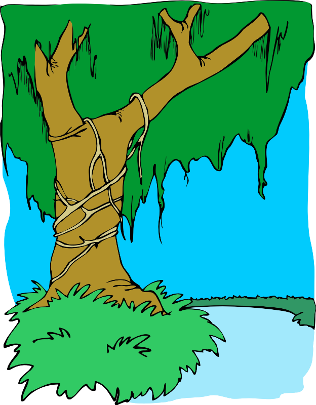 Tree 53