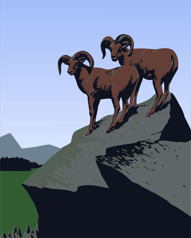 Mountain goats