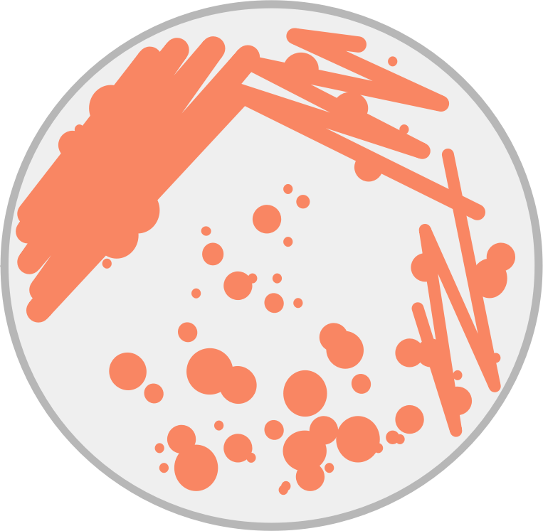 Petri Dish