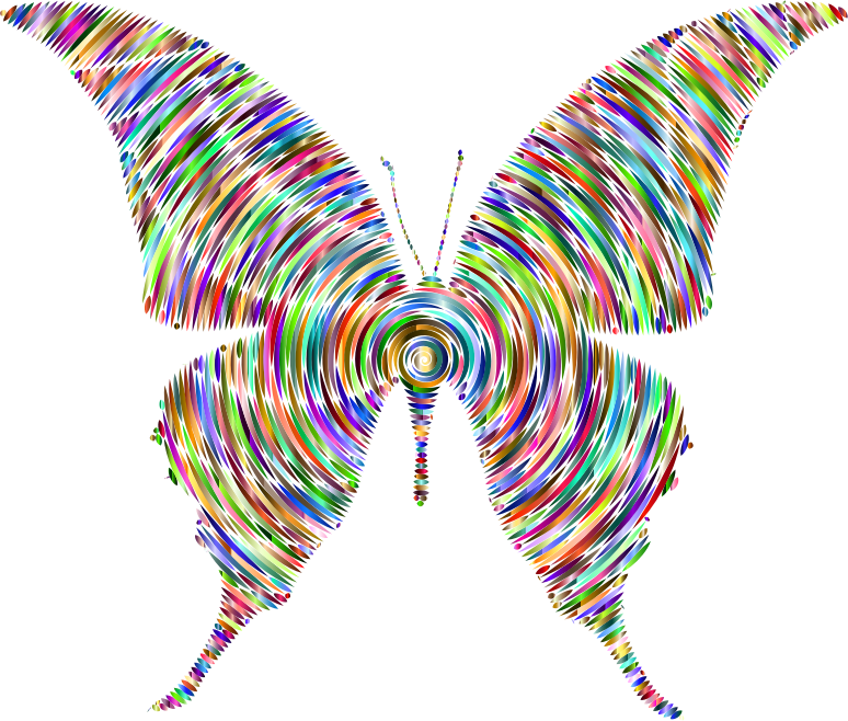 Prismatic Butterfly Silhouette 6 Concentric