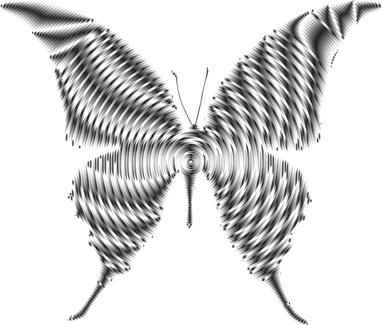 Prismatic Butterfly Silhouette 6 Concentric 2