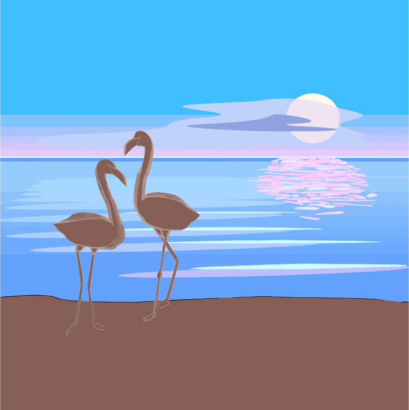 Flamingos 3