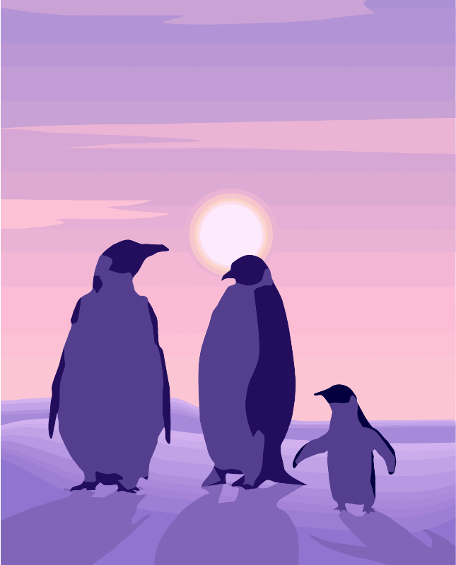 Penguins 3