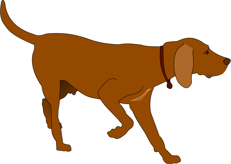 Hunting Dog