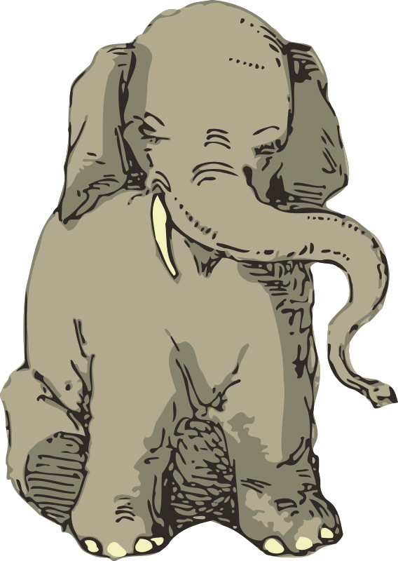 Elephant 11