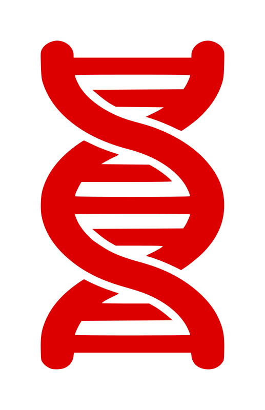 DNA Strand Icon