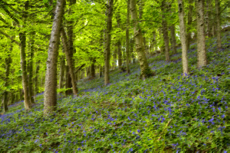 Surreal Flowery Forest