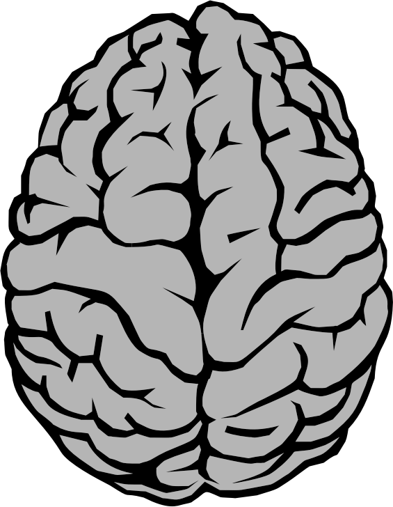 Brain Illustration