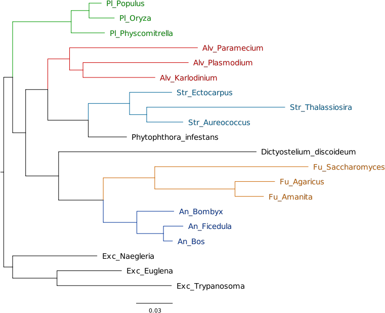 ToL added taxons tree