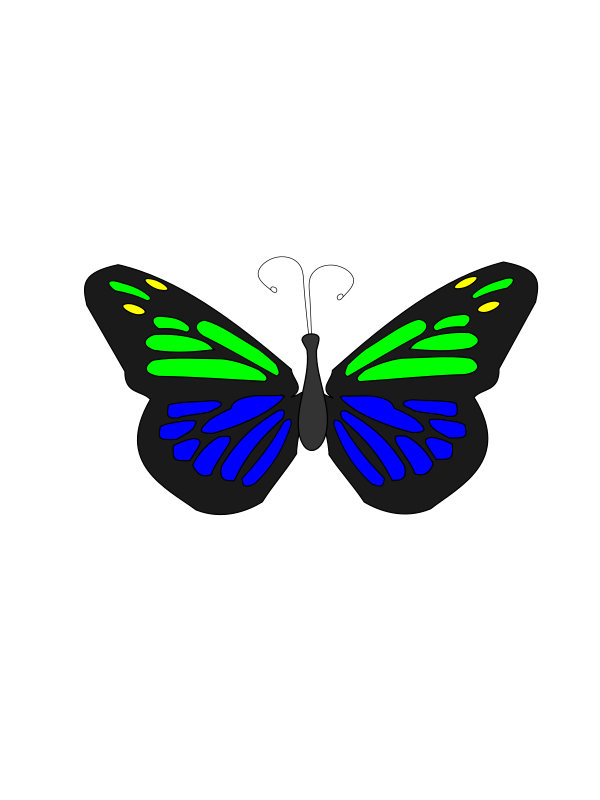 Floating Butterfly Animation