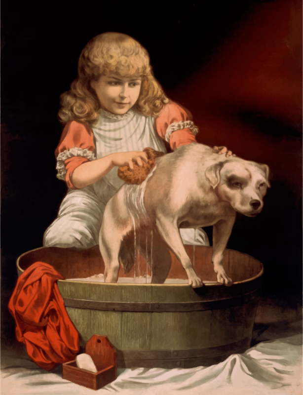 Washing the dog