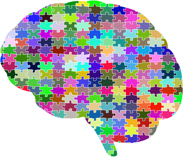 Brain Jigsaw Puzzle Prismatic With Stroke